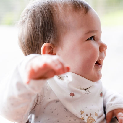 Jersey Baby Bib Set - Nectar Bear