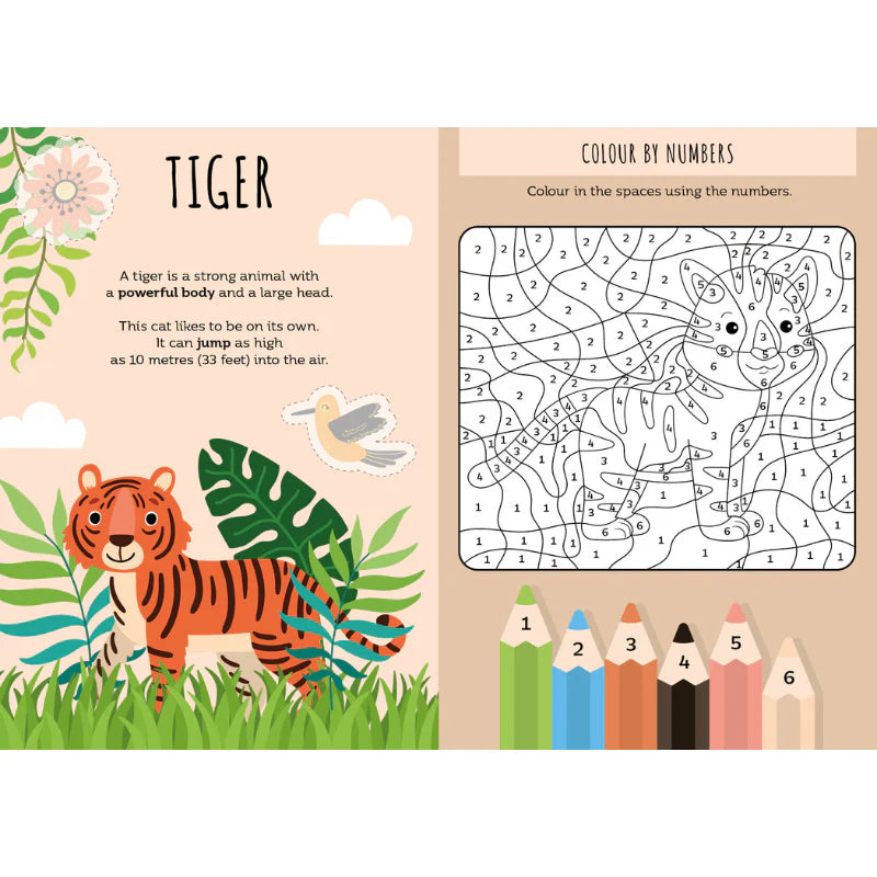 Activity & Sticker Book | The Jungle
