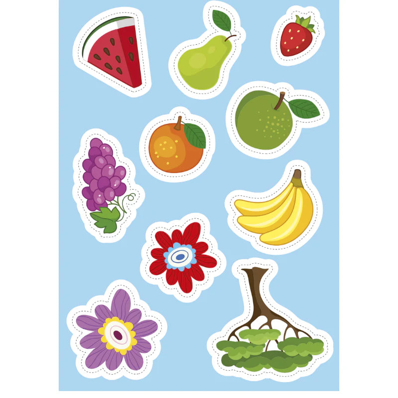 Activity & Sticker Book | Nature