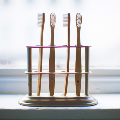 Bamboo Guest Toothbrush Set
