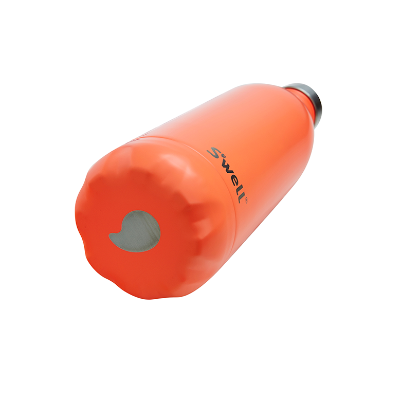 Birds of Paradise Drink Bottle